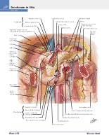 Frank H. Netter, MD - Atlas of Human Anatomy (6th ed ) 2014, page 307